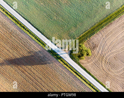 Via nei campi e albero in vista drone. Foto Stock