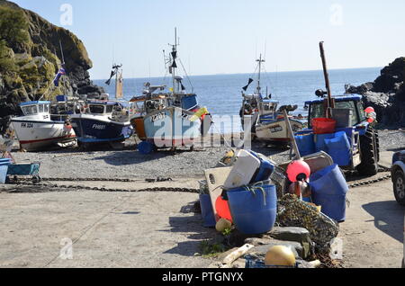 Barche da pesca in Cornovaglia pittoresco villaggio di pescatori di Cadgwith Cove sulla penisola di Lizard Foto Stock