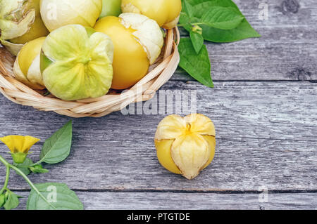 Physalis organico. Rami con frutti di bosco verde, physalis raccolto nel giardino estivo su un tavolo di legno. Foto Stock