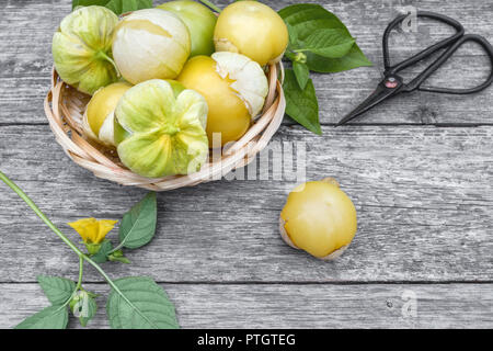 Physalis organico. Rami con frutti di bosco verde, physalis raccolto nel giardino estivo su un tavolo di legno. Foto Stock