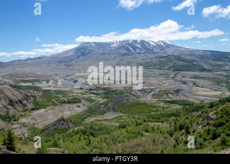 Devastazione da Monte Sant Helens Foto Stock