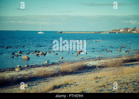 Spiaggia Vicino al mare Foto Stock