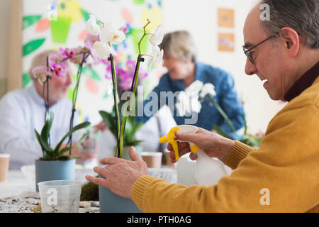 Attivo uomo senior con la bottiglia spray di orchidea di irrigazione nella composizione floreale di classe Foto Stock