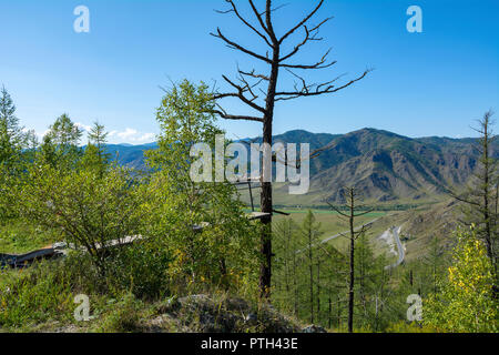 Piattaforma di osservazione in cima al Chike-Taman passano sul tratto Chuisky, Altai Repubblica Foto Stock