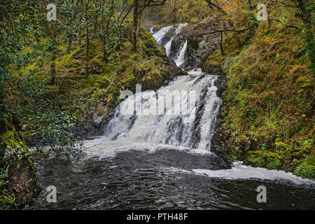 Rhaeadr Ddu o nero cade sul Afon (Fiume) Gamlan in Coed Ganllwyd Riserva Naturale Nazionale in Coed-y-Brenin foresta vicino Ganllwyd Foto Stock