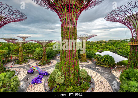 Il Supertree Grove a giardini dalla baia natura park, Singapore Foto Stock