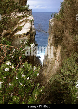 Ripida fessura nella roccia faccia in corrispondenza del traferro, Watsons, noto come la scala di Giacobbe: Sydney, NSW, Australia Foto Stock