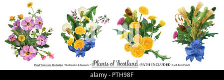 Scottish piante selvatiche boutonniere per l arte della decorazione. Acquerello mazzi su uno sfondo bianco, isolato, percorso incluso Foto Stock