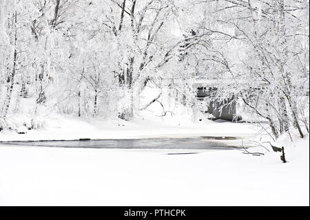 Inverno paesaggio fluviale con gelo alberi coperti sul lungofiume. Foto Stock