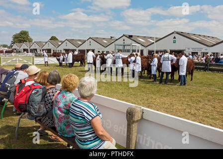 Persone Signore donne che guardano bestiame a giudicare al Great Yorkshire Show in estate Harrogate North Yorkshire Inghilterra Regno Unito GB Gran Bretagna Foto Stock