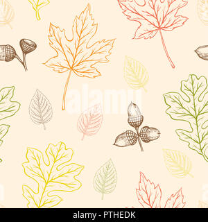 Autunno seamless pattern con boschi di querce e di foglie di acero e ghiande. Disegnato a mano sullo sfondo di caduta. Foto Stock