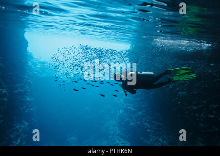 Donna scuba diving underwater tra scuola di pesce, Vava'u, Tonga, Oceano Pacifico Foto Stock