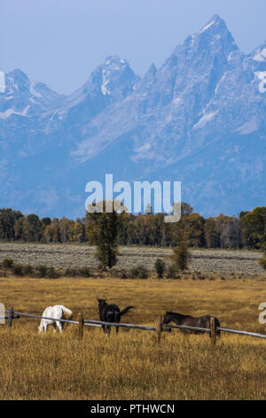 Il paesaggio intorno a Grand Tetons National Park, Wyoming Foto Stock