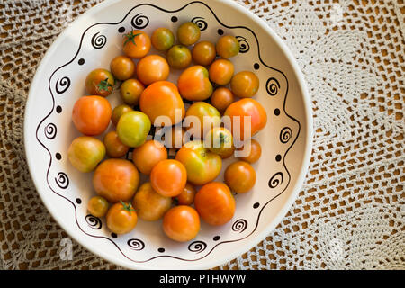 Pomodori cresciuti in casa Foto Stock