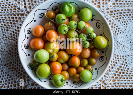 Pomodori cresciuti in casa Foto Stock