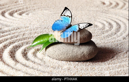 La sabbia, blue butterfly e spa pietra nel giardino zen. Spa concept Foto Stock