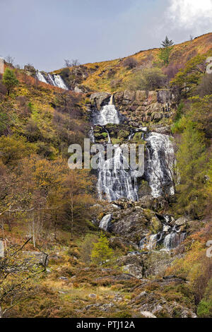 Cascata Pistyll Rhyd-y-meinciau su Afon (fiume) Eiddew Rhiwargor vicino all'estremità nord del Lake Vyrnwy North Wales UK Ottobre 2854 Foto Stock