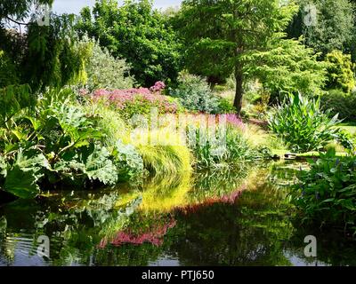 Riflessioni in un stagno Foto Stock