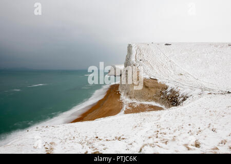 Bat la testa sotto la neve su la costa del Dorset. Foto Stock