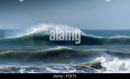 L'onda Cribbar edificio a poco Fistral sulla North Cornwall Coast. Foto Stock