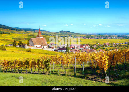 Un autunno vista di Hunawihr guardando attraverso i vigneti dopo la vendemmia. Foto Stock