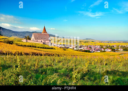 Un autunno vista di Hunawihr guardando attraverso i vigneti dopo la vendemmia. Foto Stock