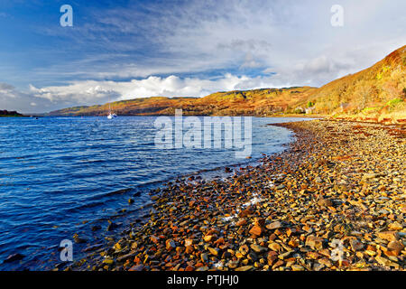 Un autunno vista Loch Melfort sulla costa occidentale delle Highlands Scozzesi. Foto Stock