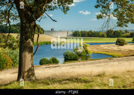 Tardo pomeriggio estivo in Petworth Park. Foto Stock