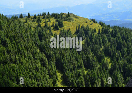 Una soleggiata giornata estiva in montagna rumeno Foto Stock