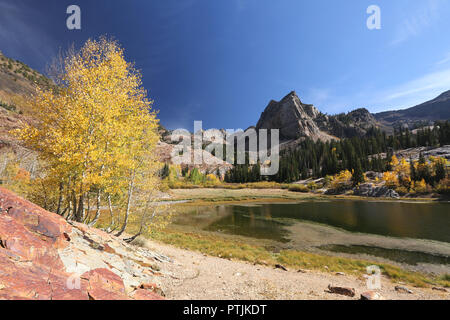 Il lago di blanche in autunno, grandi pioppi neri americani Canyon dello Utah Foto Stock