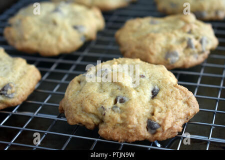Con scaglie di cioccolato e noci pecan Cookies sul filo di un raffreddamento per rack Foto Stock
