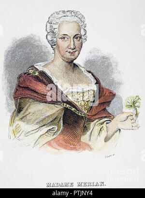 MARIA SIBYLLA MERIAN (1647-1717) naturalista tedesco e Illustrator Foto Stock