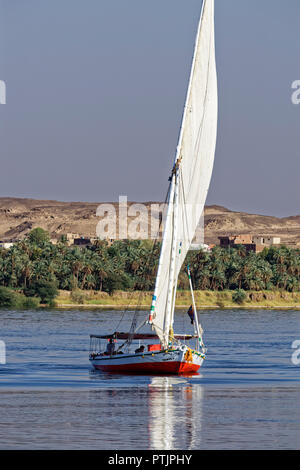 Traversata in Felucca sul Nilo in Egitto Foto Stock