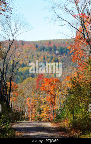 Autunno scenario visualizzando la sua stagione multicolore. Foto Stock