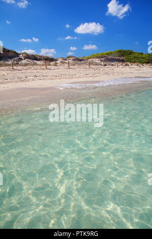 Playa de Muro, bella spiaggia sabbiosa a Maiorca, SPAGNA Foto Stock