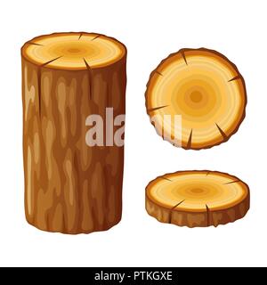 Struttura di un moncone di legno con anelli. Taglio di alberi, isolato su sfondo bianco. Illustrazione Vettoriale