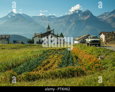 Un grafico di vegetali nel villaggio di Lignan, Valle d'Aosta, NW Italia. Foto Stock