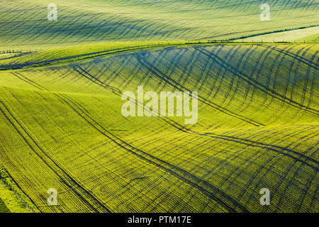 La molla sunrise in South Downs National Park. Foto Stock