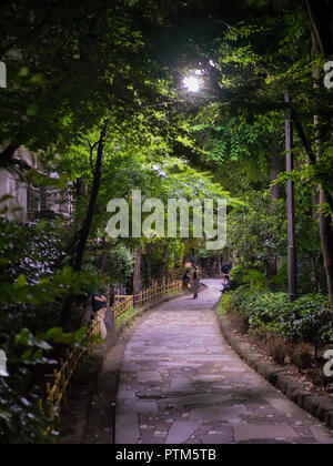 Tokyo, Giappone. Settembre 11, 2018. Piccolo attraversamento pedonale un parco nel centro del quartiere di Kabukicho, Tokyo Foto Stock