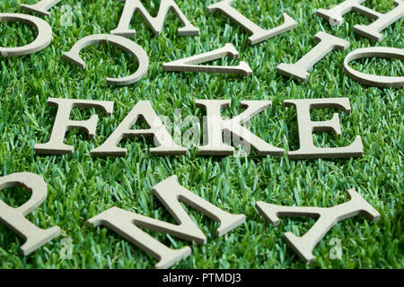 Legno lettera nella parola fake su artificiali erba verde wit alfabeto inglese sfondo Foto Stock