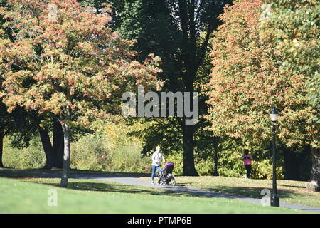 Londra, IK. 10 ott 2018. Meteo REGNO UNITO: Hot ottobre meteo nella zona londinese di Primrose Hill oggi Foto Jeremy Selwyn Credito: Evening Standard limitata /Alamy Live News Foto Stock