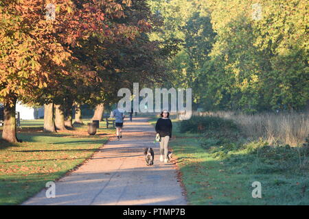 Londra, IK. 10 ott 2018. Meteo REGNO UNITO: Hot ottobre meteo nell'Hyde Park di Londra oggi Foto Jeremy Selwyn Credito: Evening Standard limitata /Alamy Live News Foto Stock