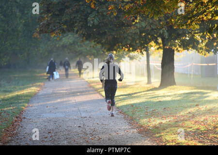 Londra, IK. 10 ott 2018. Meteo REGNO UNITO: Hot ottobre meteo nell'Hyde Park di Londra oggi Foto Jeremy Selwyn Credito: Evening Standard limitata /Alamy Live News Foto Stock