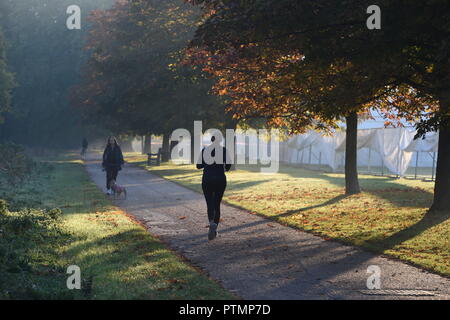 Londra, IK. 10 ott 2018. Meteo REGNO UNITO: Hot ottobre meteo nell'Hyde Park di Londra oggi Foto Jeremy Selwyn Credito: Evening Standard limitata /Alamy Live News Foto Stock