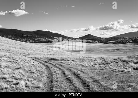 Il nero e il bianco paesaggio scena di un ranch road curvando attraverso una vasta vista di prati erbosi e aprire la gamma con montagne in lontananza Foto Stock