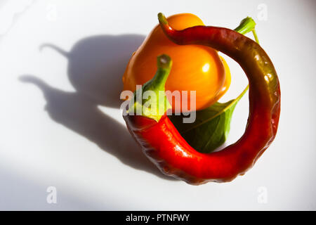 Peperoni freschi di diverse forme e colori. Foto Stock