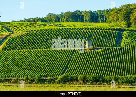 Bligny (nord-est della Francia). Il villaggio è situato nel centro della regione viticola "Côte des Bar" (tra Bar-sur-Aube e Bar-sur-Seine Foto Stock