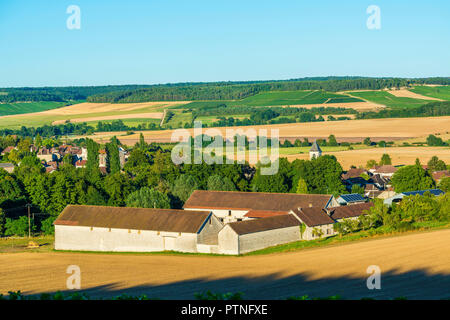 Bligny (nord-est della Francia). Il villaggio è situato nel centro della regione viticola "Côte des Bar" (tra Bar-sur-Aube e Bar-sur-Seine Foto Stock