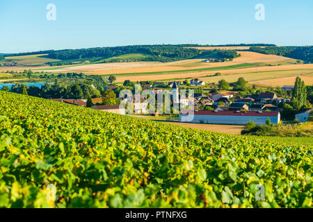 Bligny (nord-est della Francia). Il villaggio è situato nel centro della regione viticola "Côte des Bar" (tra Bar-sur-Aube e Bar-sur-Seine Foto Stock