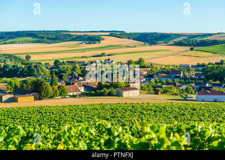 Bligny (nord-est della Francia). Il villaggio è situato nel centro della regione viticola "Côte des Bar" (tra Bar-sur-Aube e Bar-sur-Seine Foto Stock